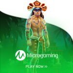 Micro Gaming